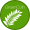 GreenCoin GreenCoin