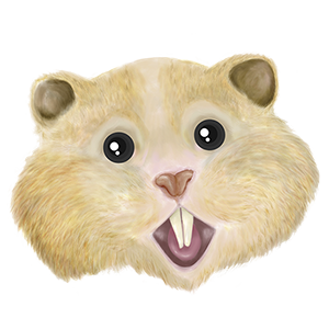 HamsterCoin